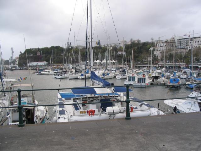 IMG_3466.JPG
