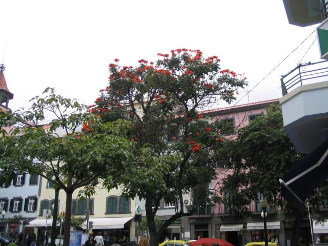 IMG_3470.JPG