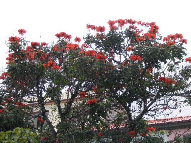 IMG_3471.JPG
