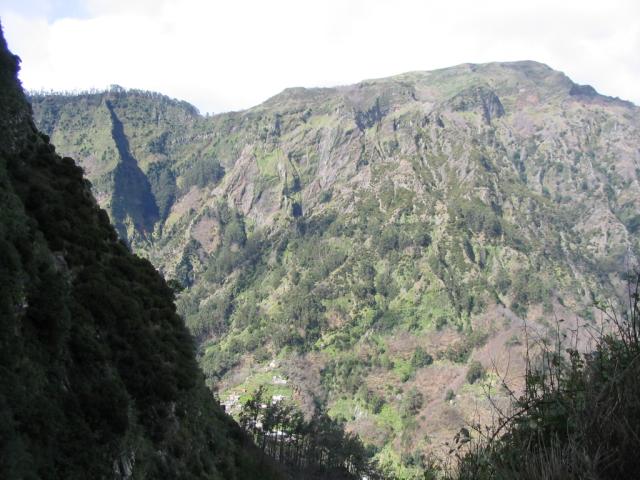 IMG_3484.JPG