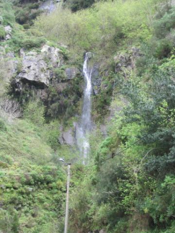 IMG_3493.JPG