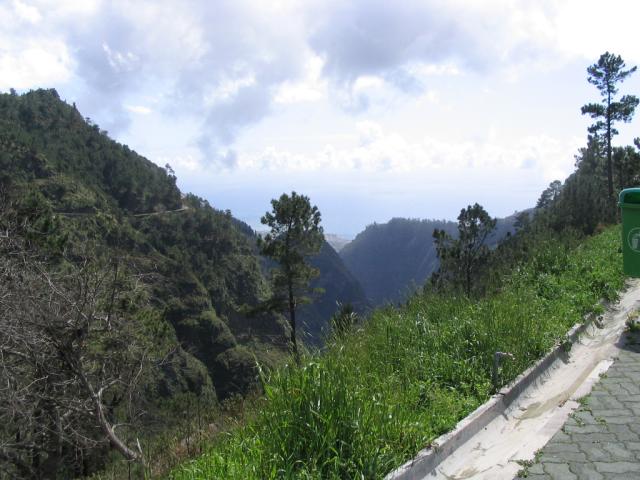 IMG_3497.JPG