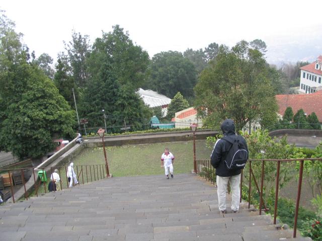 IMG_3502.JPG