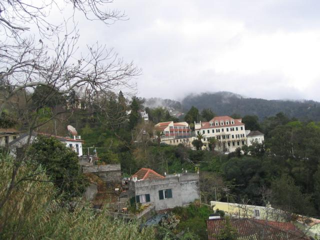 IMG_3532.JPG