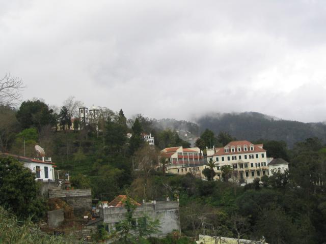 IMG_3533.JPG