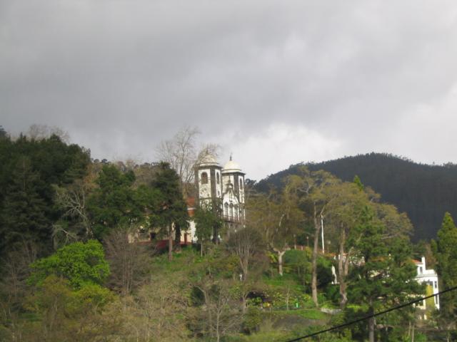 IMG_3539.JPG