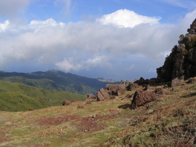 IMG_3547.JPG