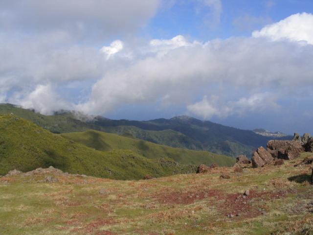 IMG_3548.JPG