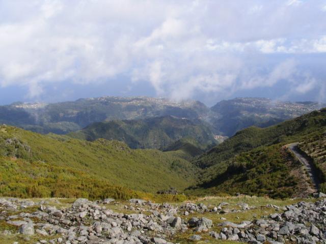 IMG_3550.JPG