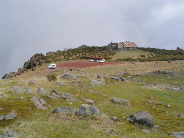 IMG_3560.JPG
