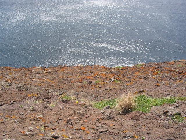 IMG_3586.JPG