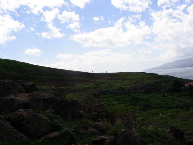 IMG_3590.JPG