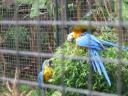 IMG_3431.JPG