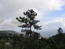 IMG_3535.JPG
