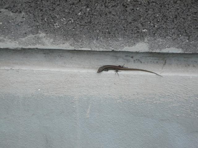 p1000209.jpg