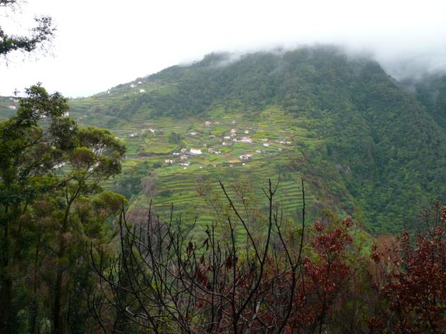 p1000288.jpg
