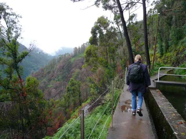 p1000293.jpg
