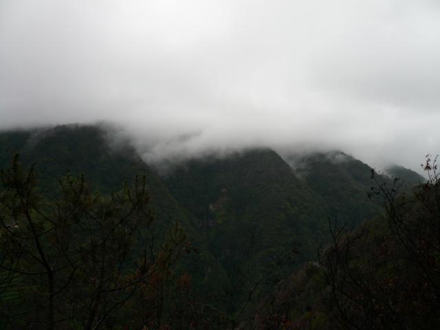 p1000294.jpg
