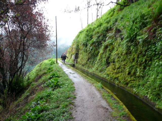 p1000295.jpg