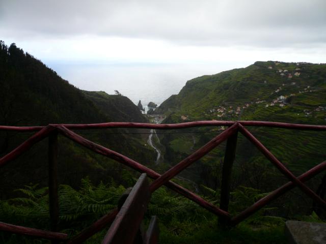 p1000297.jpg