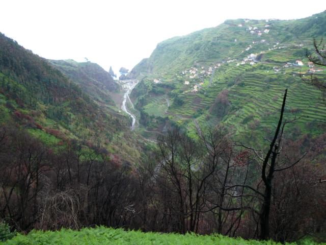 p1000299.jpg