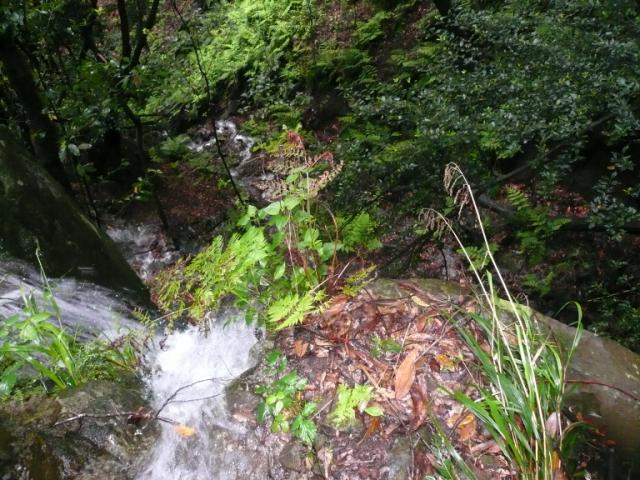 p1000305.jpg