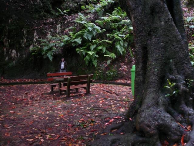 p1000309.jpg