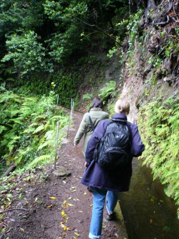 p1000318.jpg