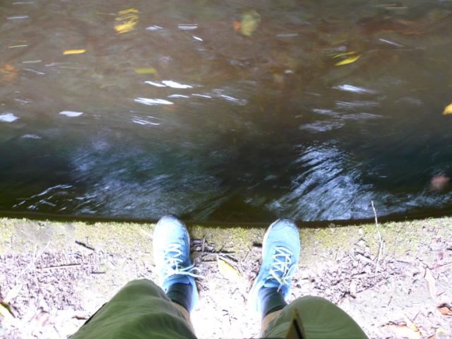 p1000319.jpg