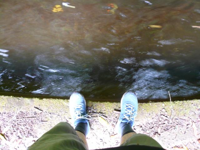 p1000320.jpg