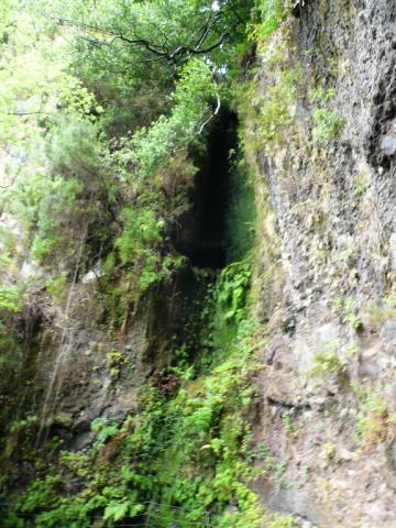 p1000323.jpg