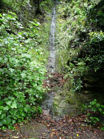 p1000327.jpg