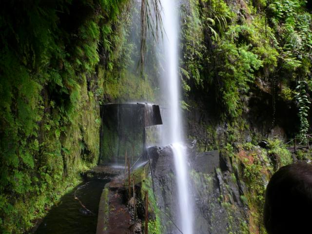 p1000337.jpg