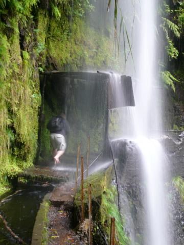 p1000345.jpg