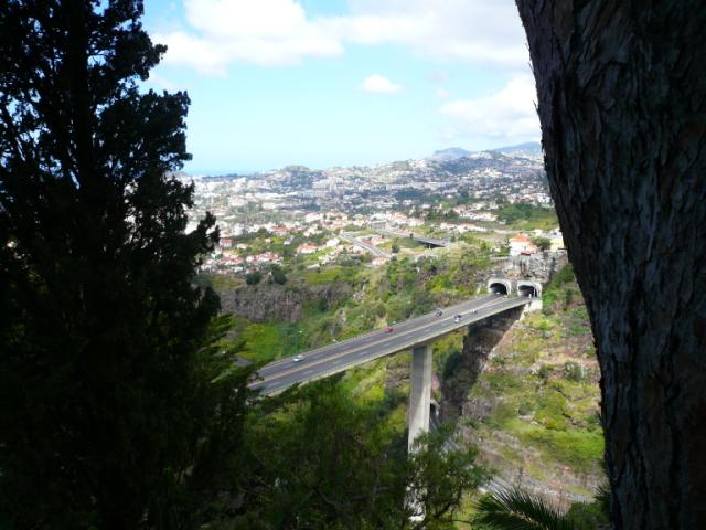 p1000360.jpg