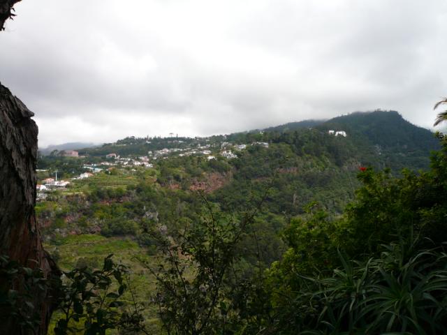 p1000361.jpg