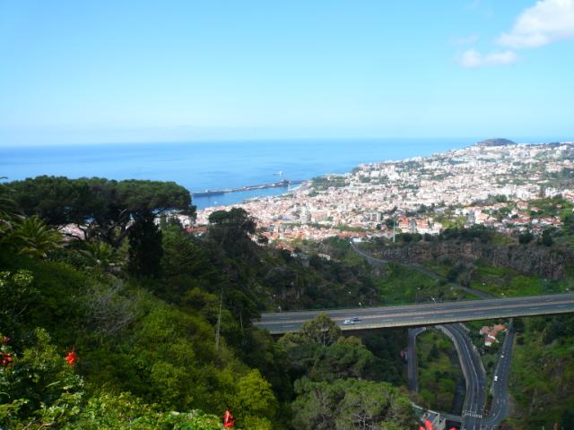 p1000362.jpg