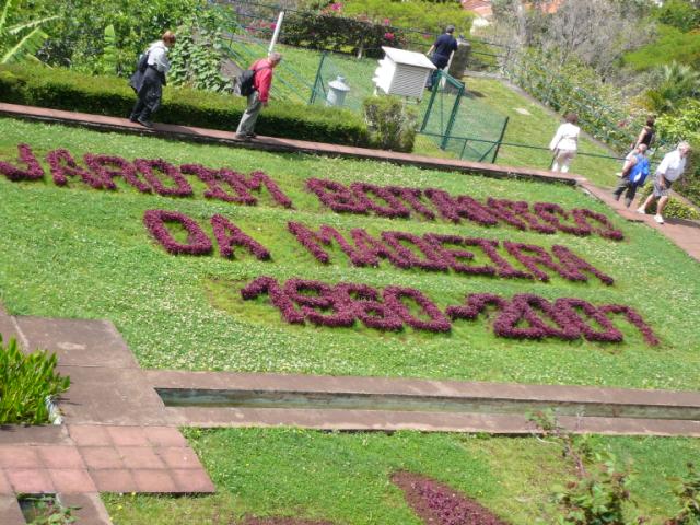 p1000378.jpg