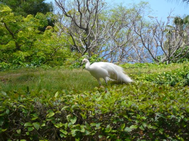 p1000392.jpg
