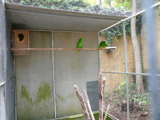 p1000395.jpg