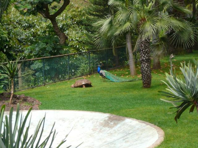p1000396.jpg