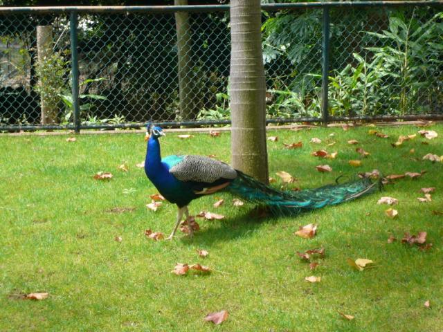 p1000397.jpg
