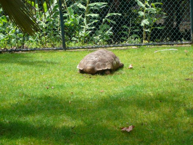 p1000404.jpg