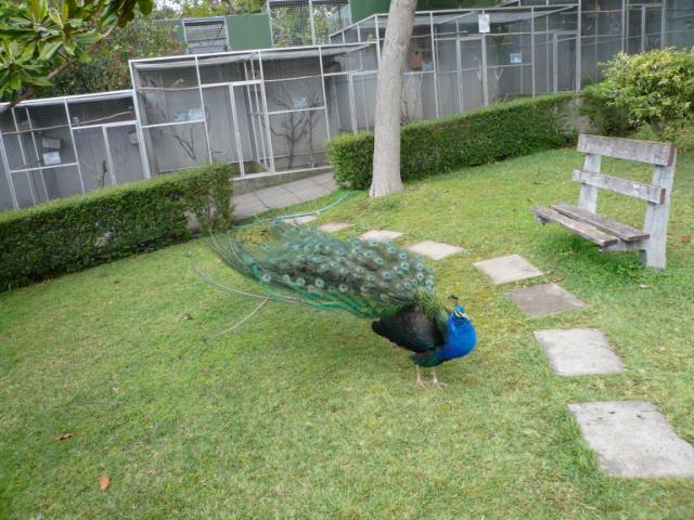p1000417.jpg