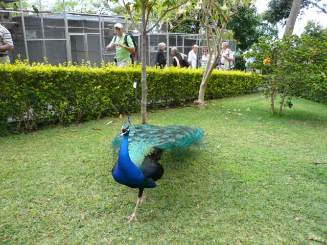 p1000419.jpg