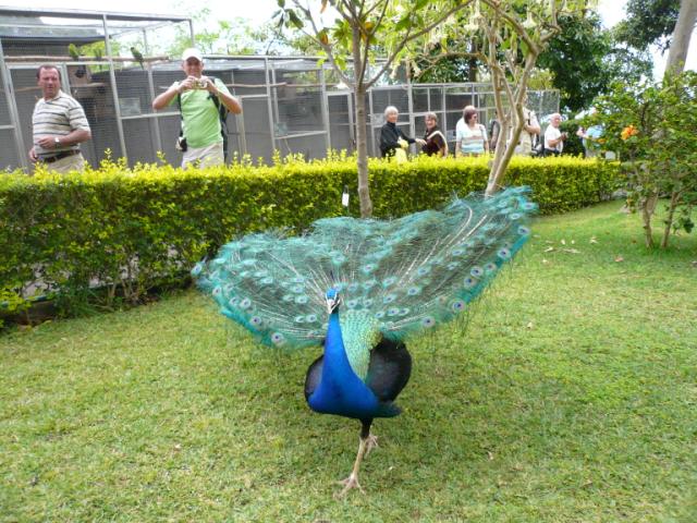 p1000420.jpg