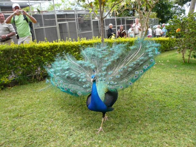 p1000421.jpg
