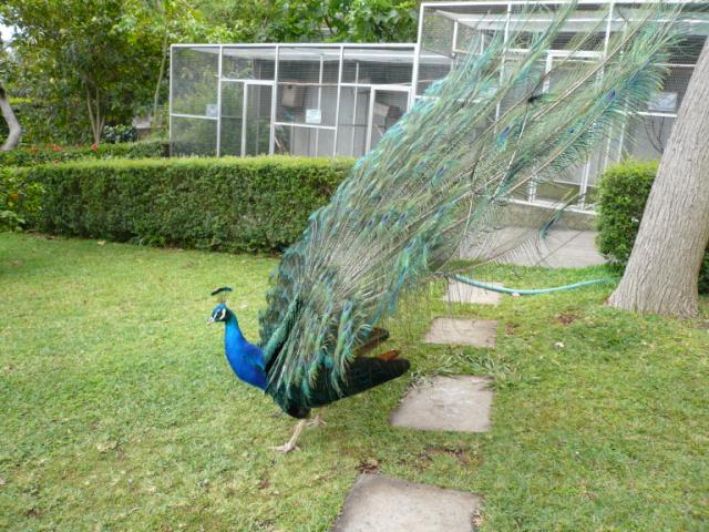 p1000423.jpg