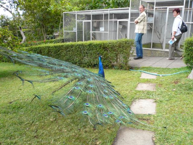 p1000428.jpg