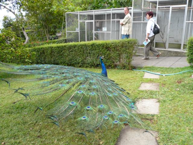 p1000429.jpg